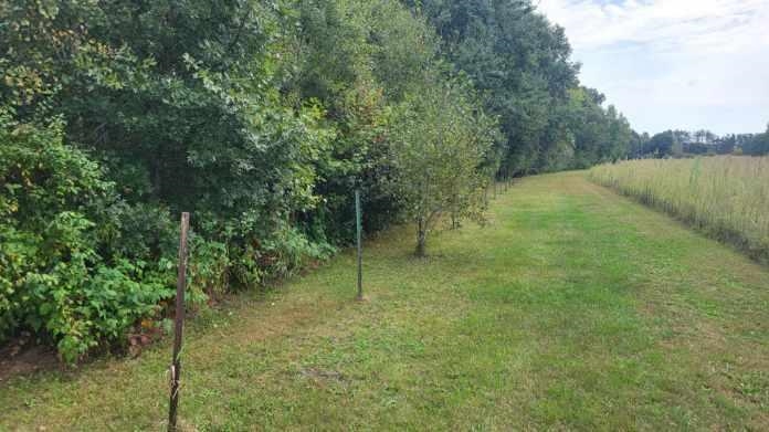 Lot 31 Tara Tomah, WI 54660 - Photo 8 of 10