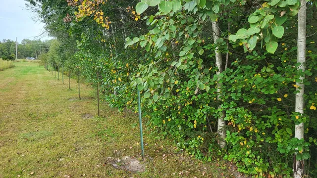 $29,900 | Lot 31 Tara, Tomah, WI 54660