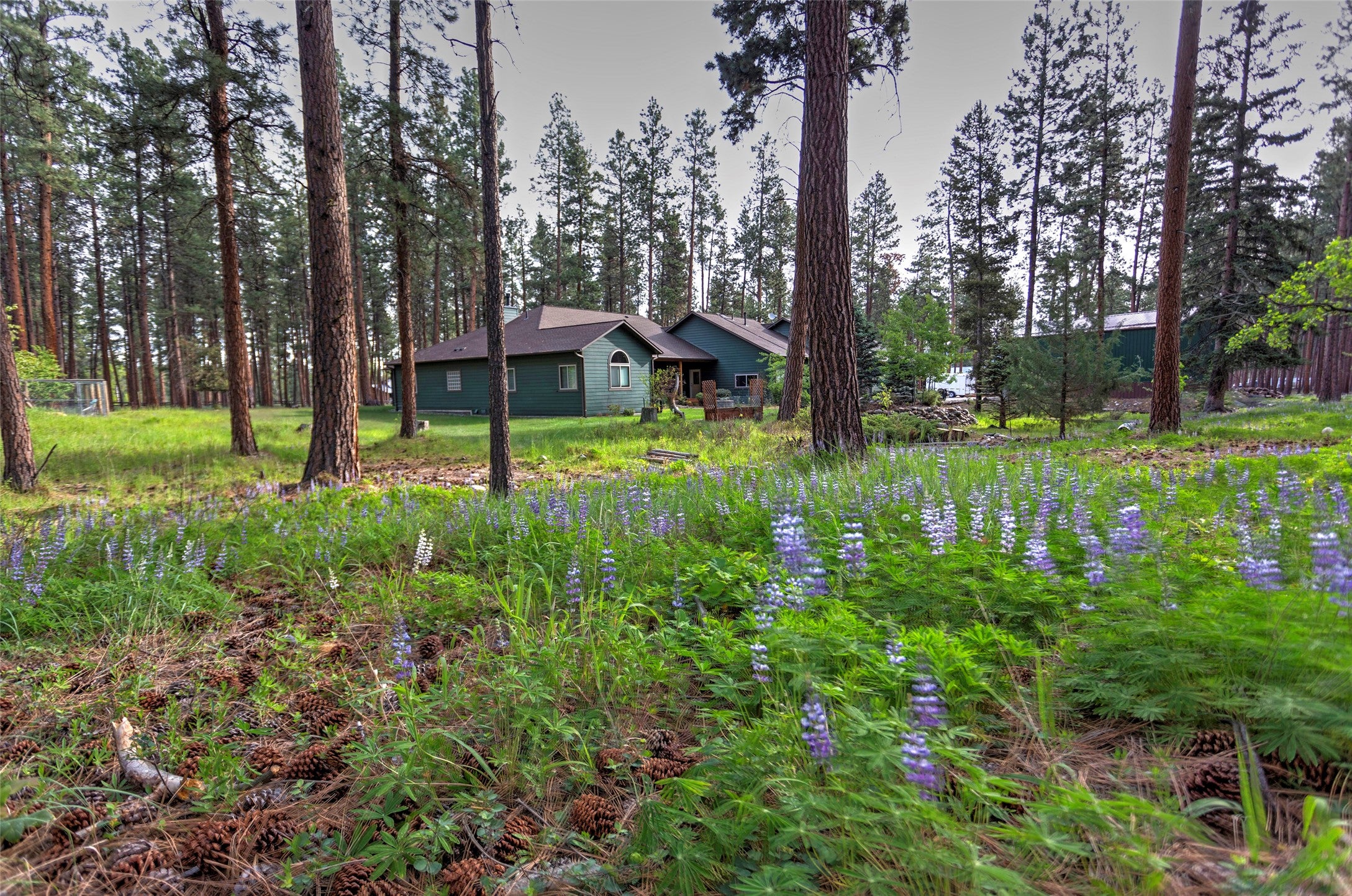 123 Mountain Goat Road Hamilton, MT 59840 - Photo 89 of 92 Gallery Image 89