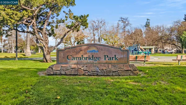 a view of a park with large trees
