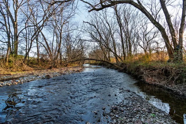 a backyard of a house with large trees