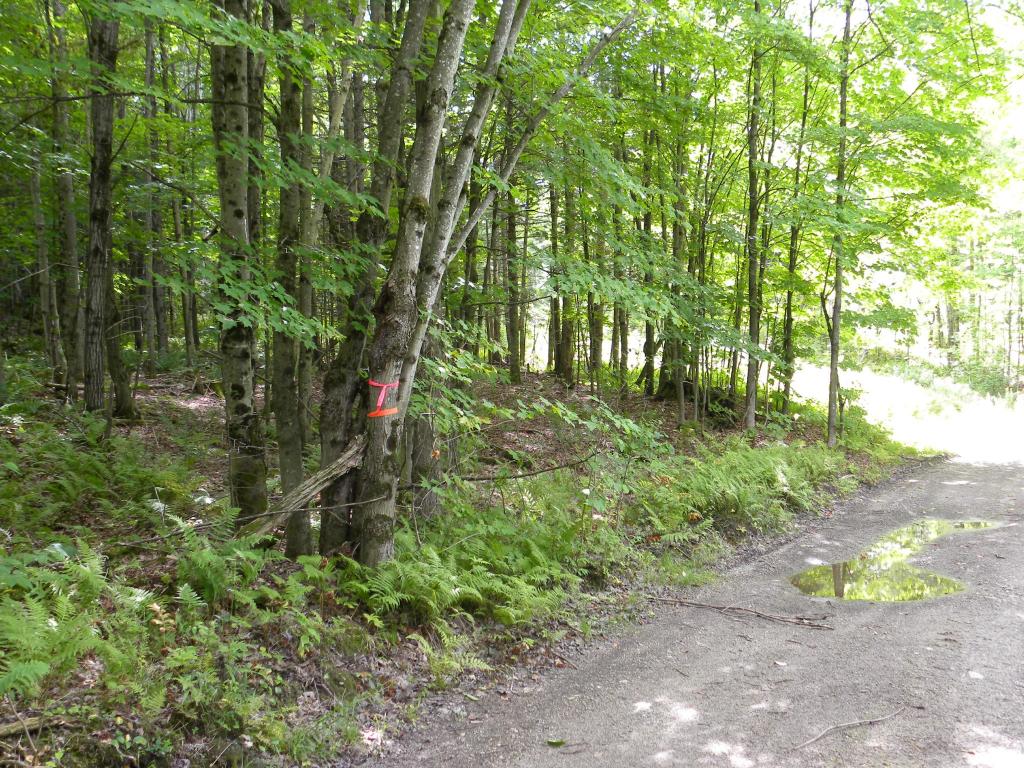 - Reservoir Road Newport, VT 05855 - Photo 11 of 15 Gallery Image 11