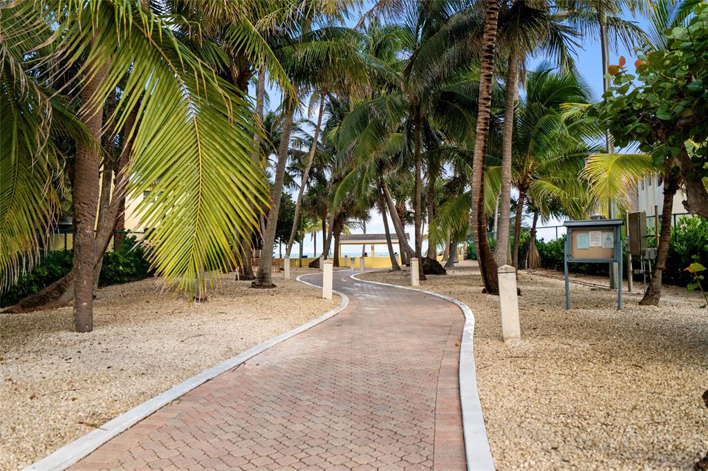 2 Sunset Lane Lauderdale-by-the-Sea, FL 33062 - Photo 50 of 79 a view of a yard with palm tree