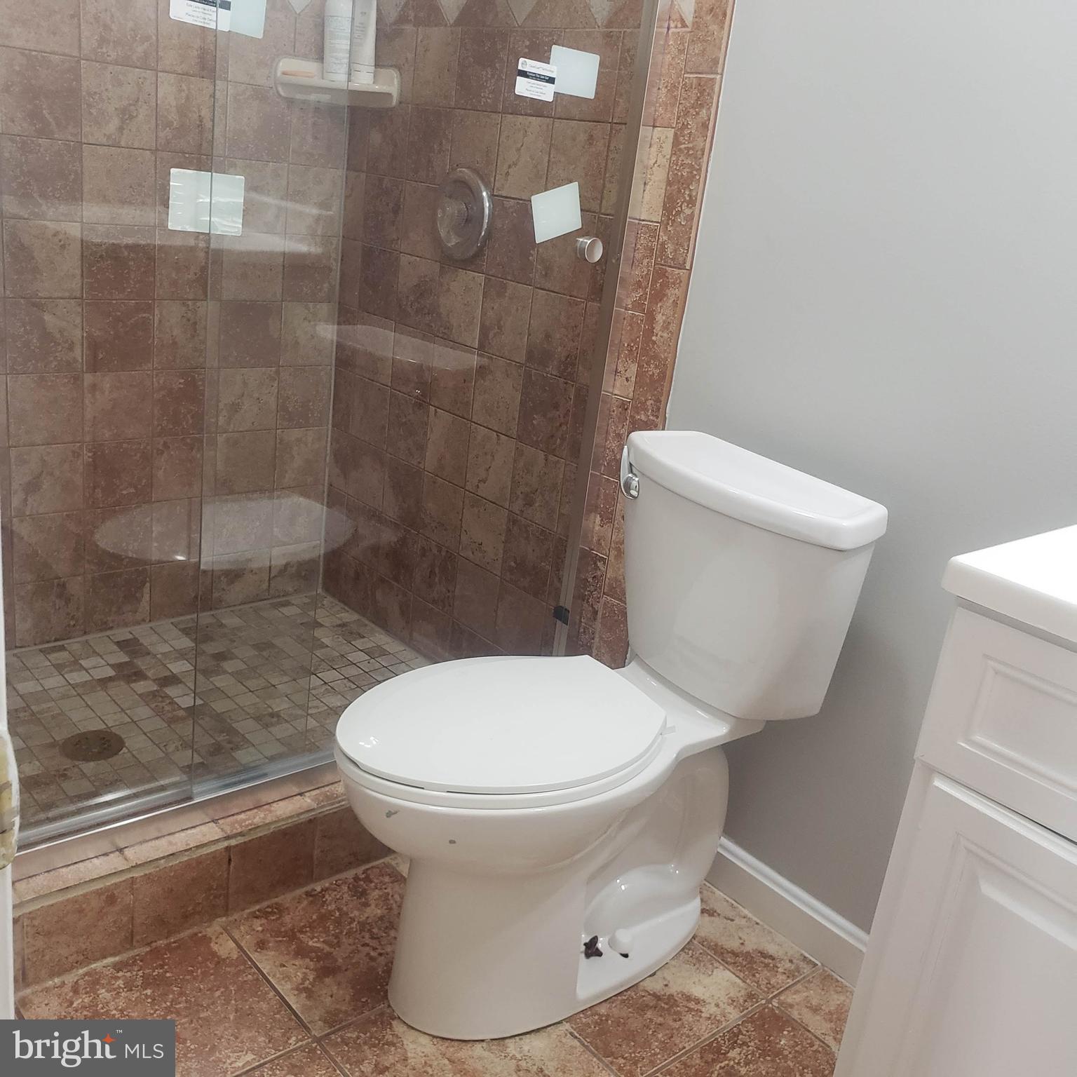 607 Hunting Ridge Drive Frederick, MD 21703 - Photo 48 of 61 Basement full bath 2nd view