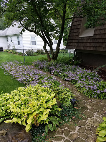 581 Riedy Road Lisle, IL 60532 - Photo 21 of 29