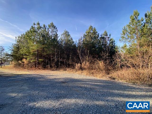 1390 Waltons Store Road Louisa, VA 23093 - Photo 1 of 5 a view of dirt yard and mountain view
