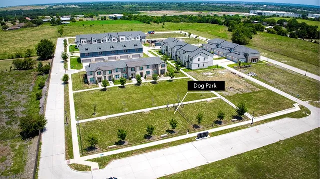 a view of a yard with potted plants