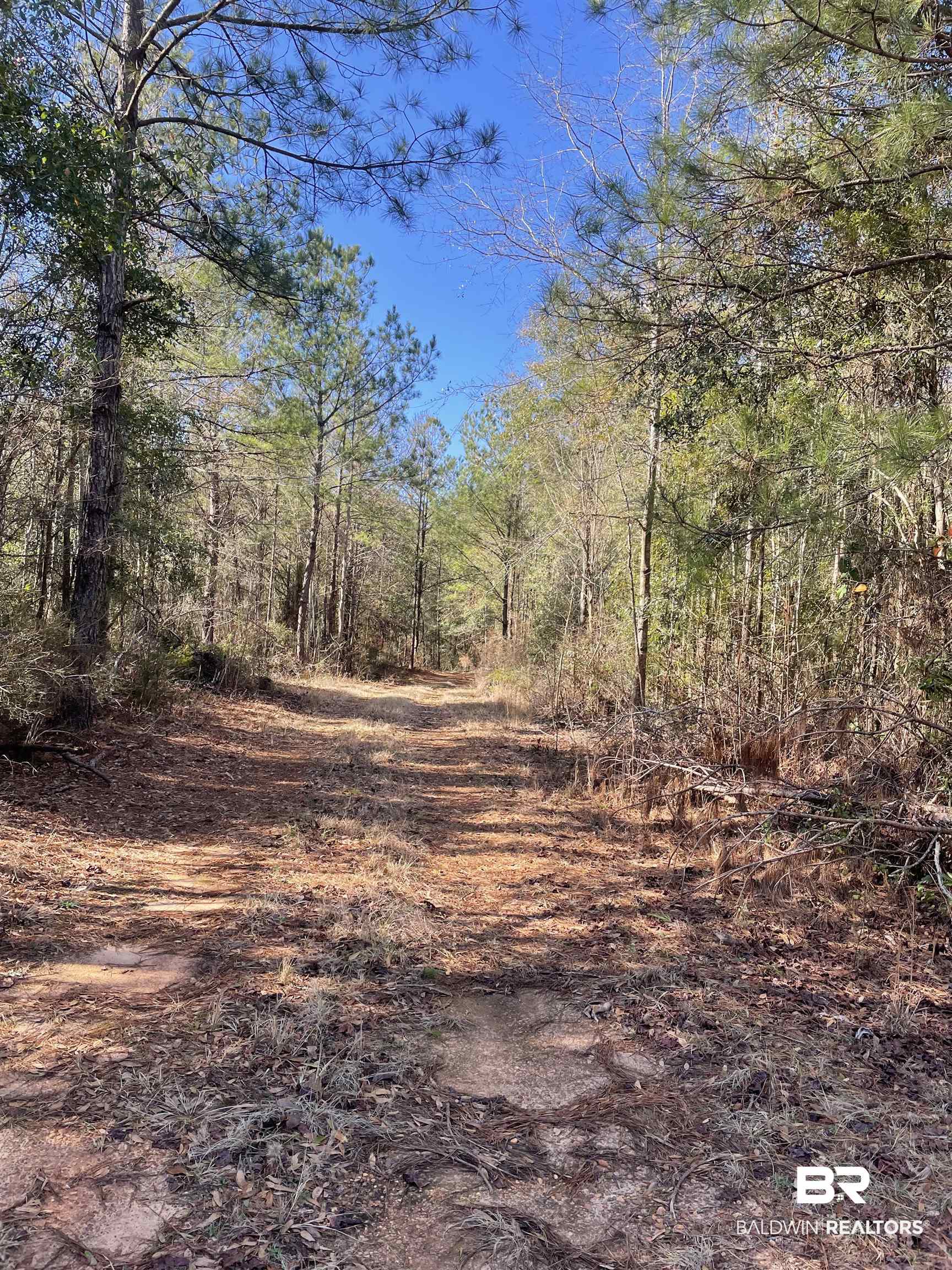 529 Sand Bottom Road Peterman, AL 36471 - Photo 3 of 5 View of landscape