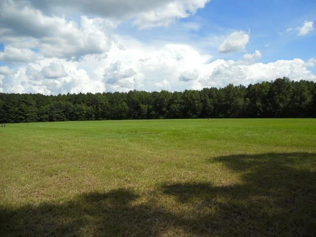 19 Locker Road Deville, LA 71328 - Photo 1 of 5