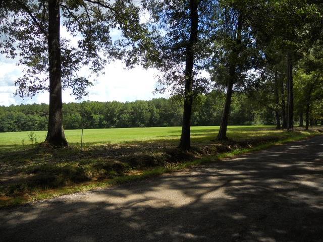 19 Locker Road Deville, LA 71328 - Photo 3 of 5