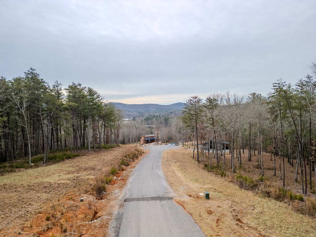 151 The Ridges Morganton, GA 30560 - Photo 4 of 35 Lot is Located on Right Side