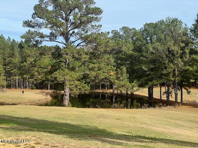 502 Buckley Road Harrisville, MS 39082 - Photo 22 of 28 IMG_2838