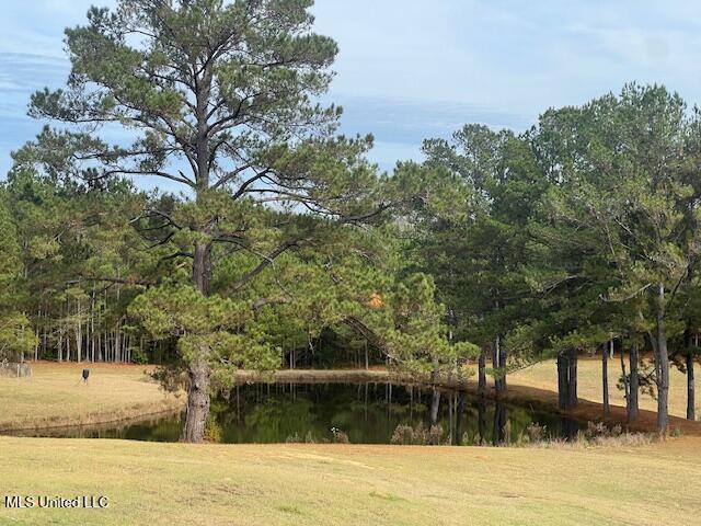 502 Buckley Road Harrisville, MS 39082 - Photo 7 of 28 IMG_2829