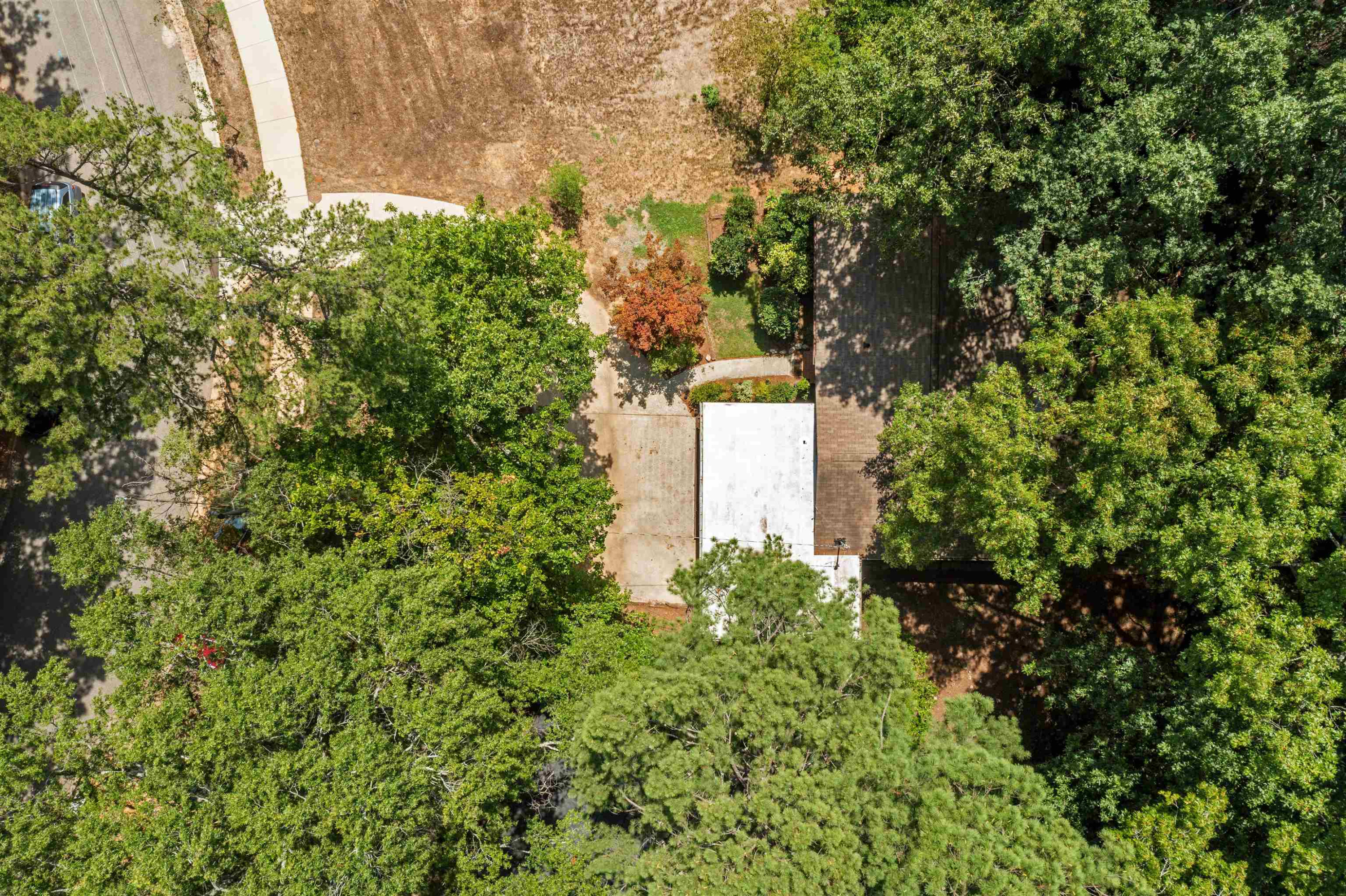 3207 Cyanne Circle Raleigh, NC 27606 - Photo 18 of 43 a plant view in yard