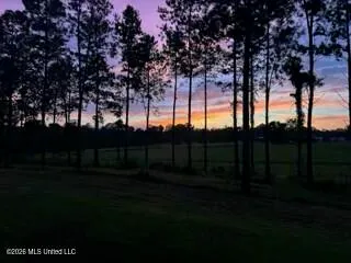 $219,000 | 1021 Elarton Road, Osyka, MS 39657