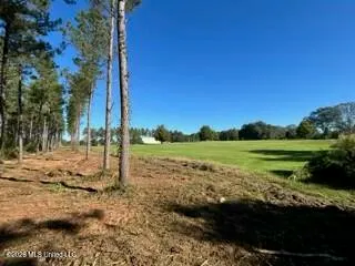 $219,000 | 1021 Elarton Road, Osyka, MS 39657
