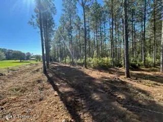 $219,000 | 1021 Elarton Road, Osyka, MS 39657