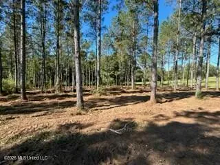 $219,000 | 1021 Elarton Road, Osyka, MS 39657