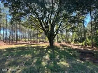 $219,000 | 1021 Elarton Road, Osyka, MS 39657