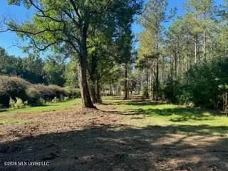 $219,000 | 1021 Elarton Road, Osyka, MS 39657