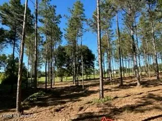 $219,000 | 1021 Elarton Road, Osyka, MS 39657
