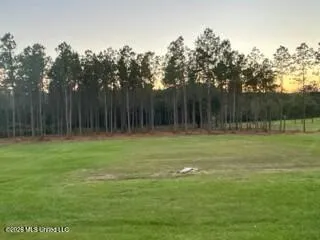 $219,000 | 1021 Elarton Road, Osyka, MS 39657