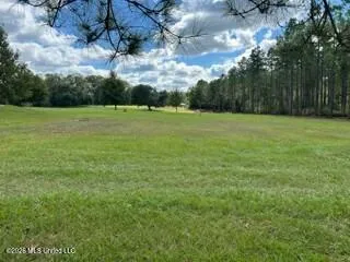 $219,000 | 1021 Elarton Road, Osyka, MS 39657