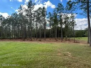 $219,000 | 1021 Elarton Road, Osyka, MS 39657
