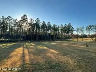 $219,000 | 1021 Elarton Road, Osyka, MS 39657
