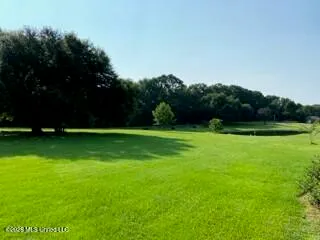 $219,000 | 1021 Elarton Road, Osyka, MS 39657