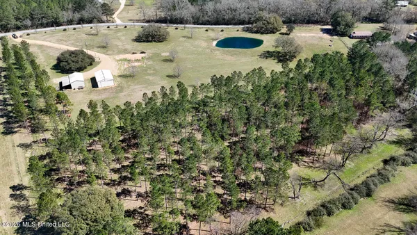 $219,000 | 1021 Elarton Road, Osyka, MS 39657