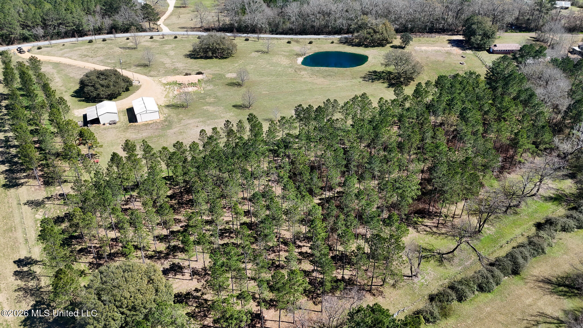 DJI_20260223124127_0226_D
