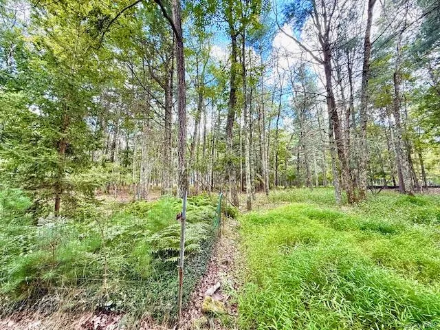 a view of yard with green space