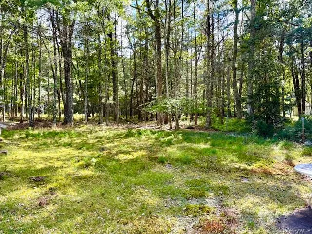 a view of outdoor space with a garden