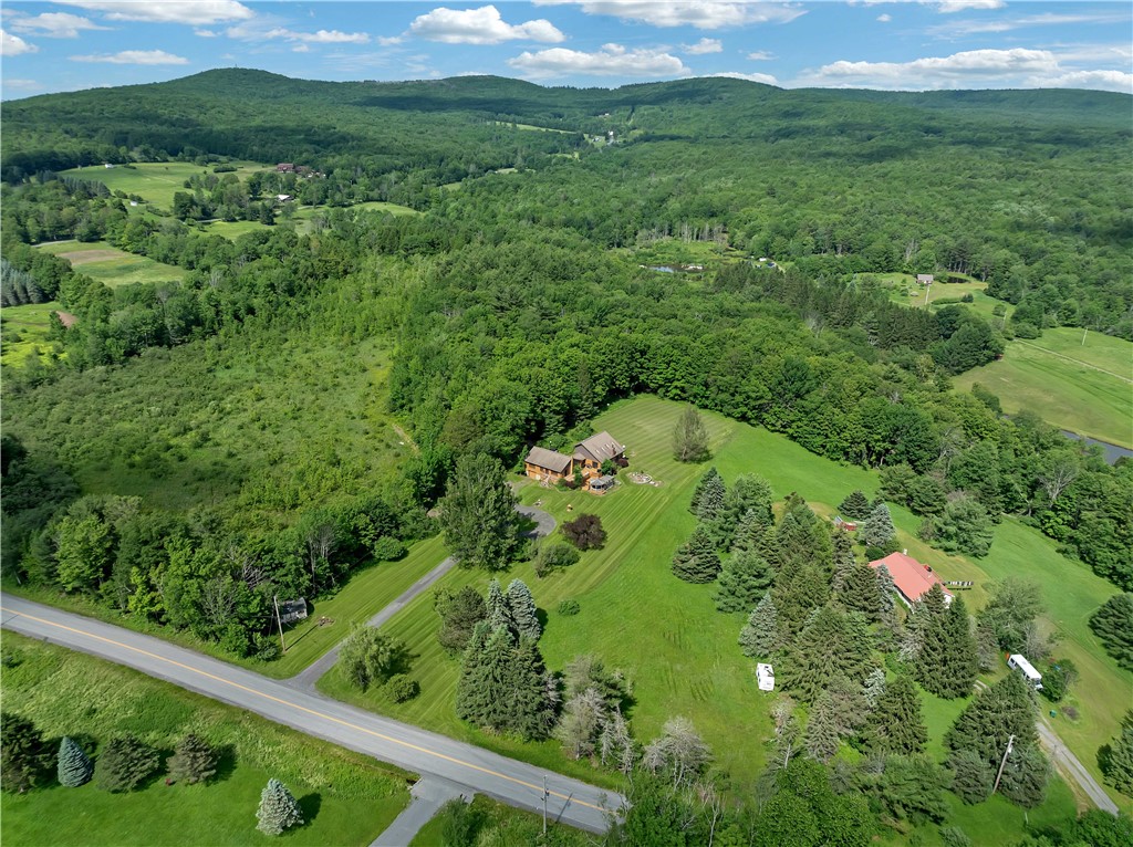 1170 Bull Hill Road Conesville, NY 12076 - Photo 42 of 50