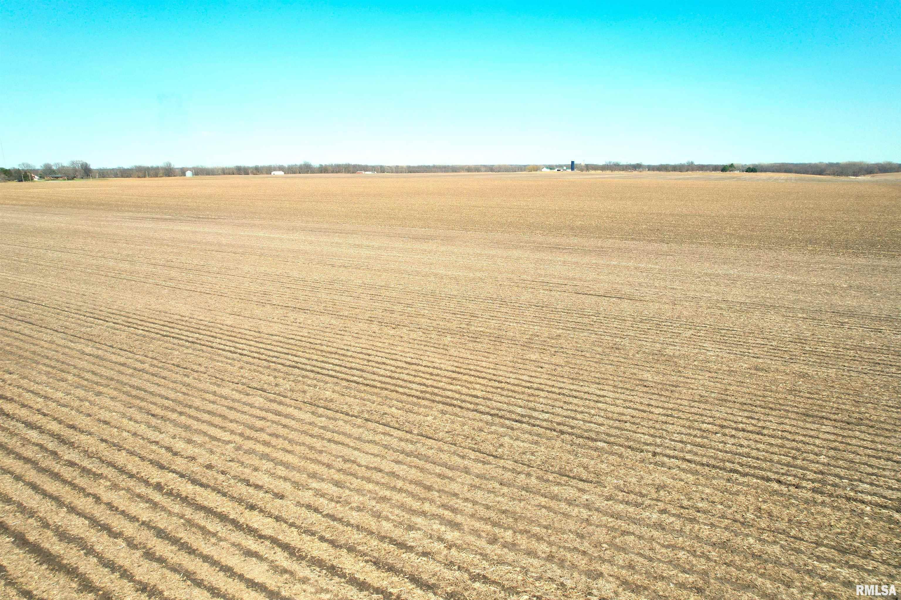 Buckhart Road Rochester, IL 62563 - Photo 13 of 16