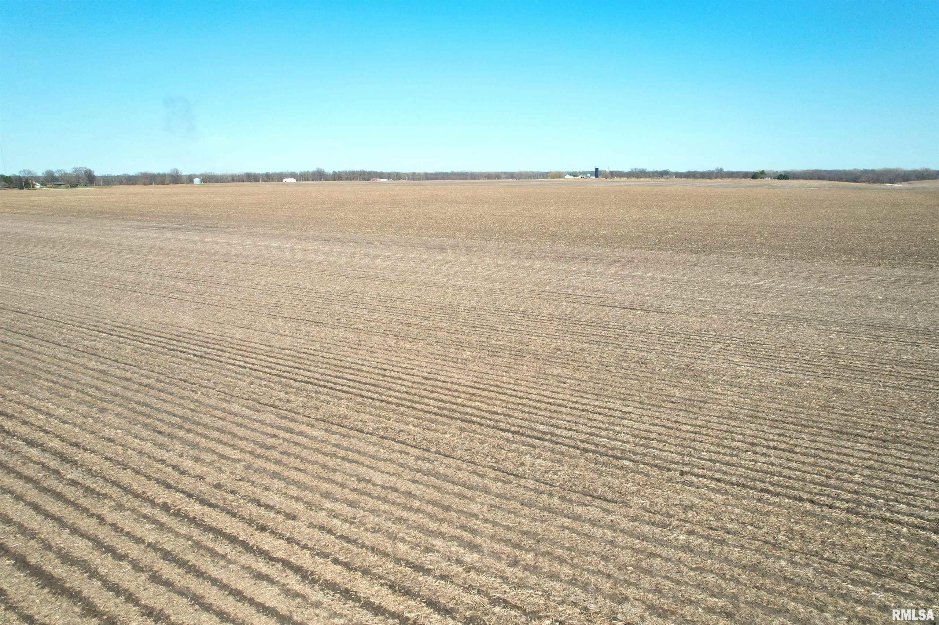 Buckhart Road Rochester, IL 62563 - Photo 8 of 16