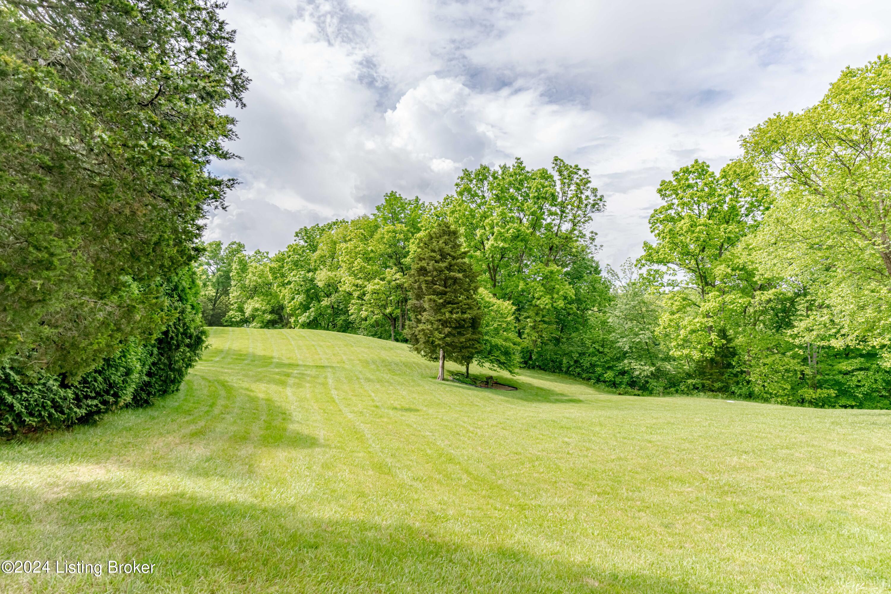 988 Radcliff Road Smithfield, KY 40068 - Photo 5 of 46 DSC09689