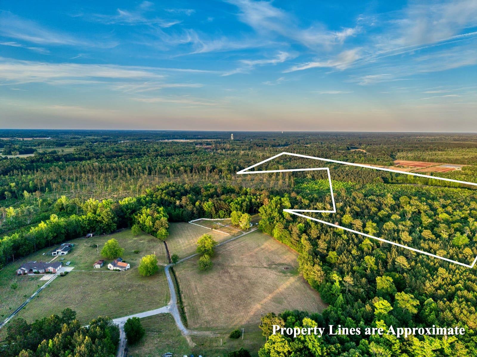 Tbd Tbd Carroll Road Greeleyville, SC 29056 - Photo 2 of 5