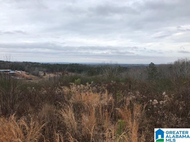 48 Highway, Unit 40 Wedowee, AL 36278 - Photo 3 of 3
