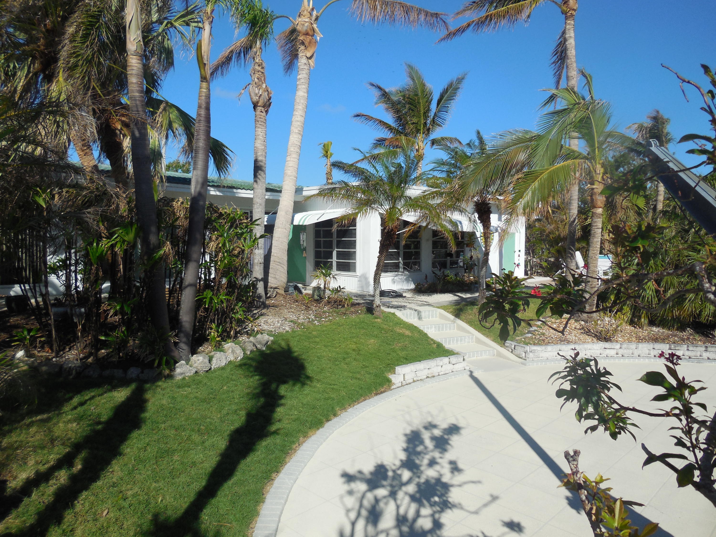 Concrete dock and back yard