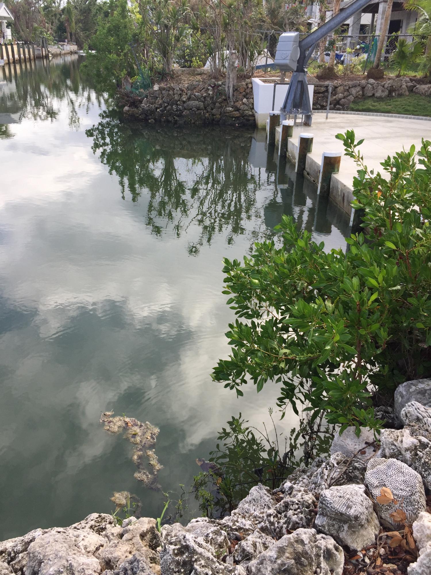 3869 Gillott Road Big Pine Key, FL 33043 - Photo 31 of 33 Cut in Boat Slip