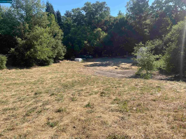 a view of a yard with trees