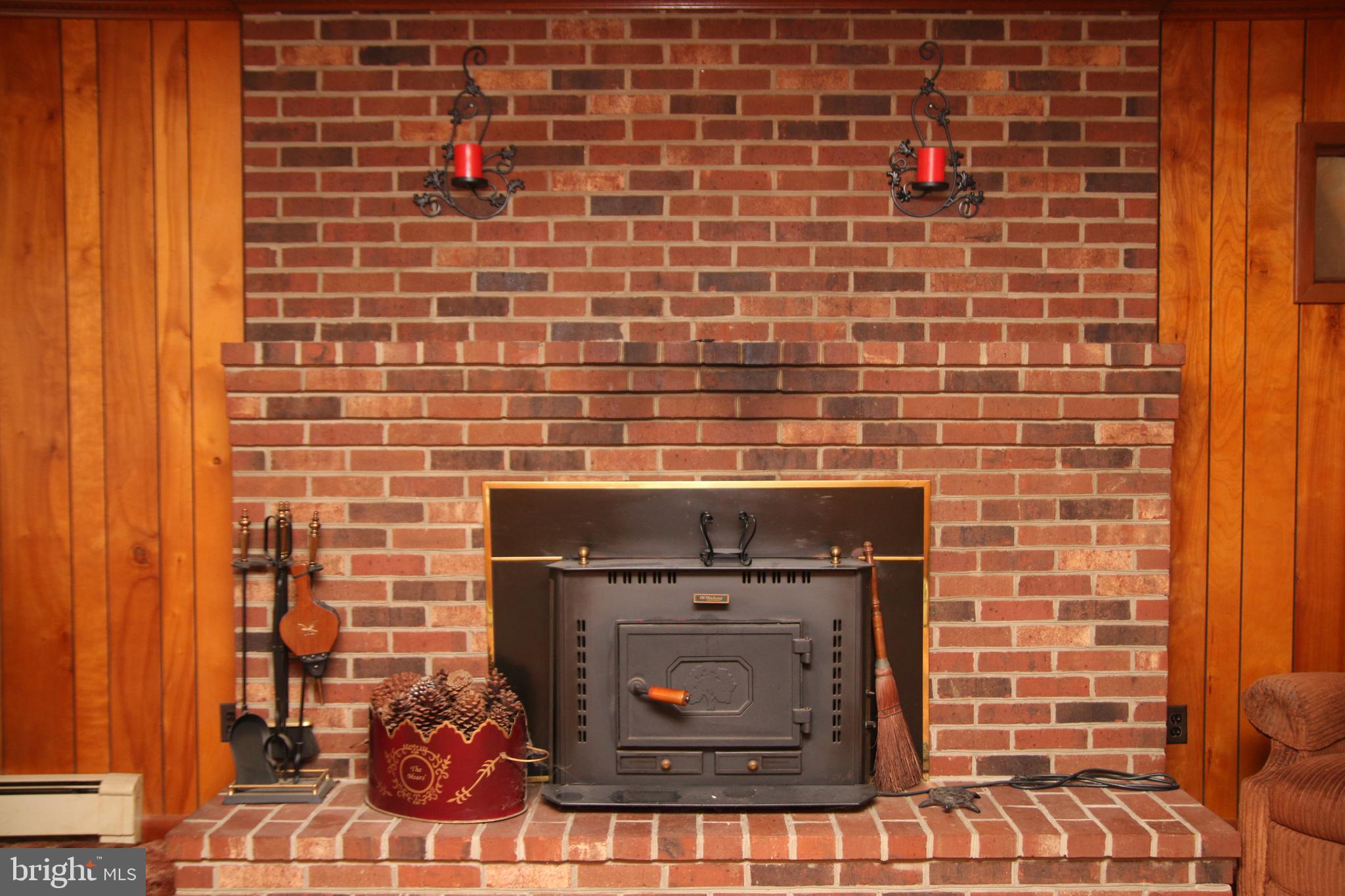 3540 Sheephouse Road Pocomoke City, MD 21851 - Photo 14 of 43 Fire Place