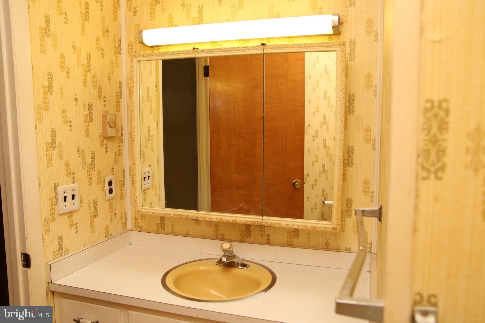 3540 Sheephouse Road Pocomoke City, MD 21851 - Photo 34 of 43 Master Bath