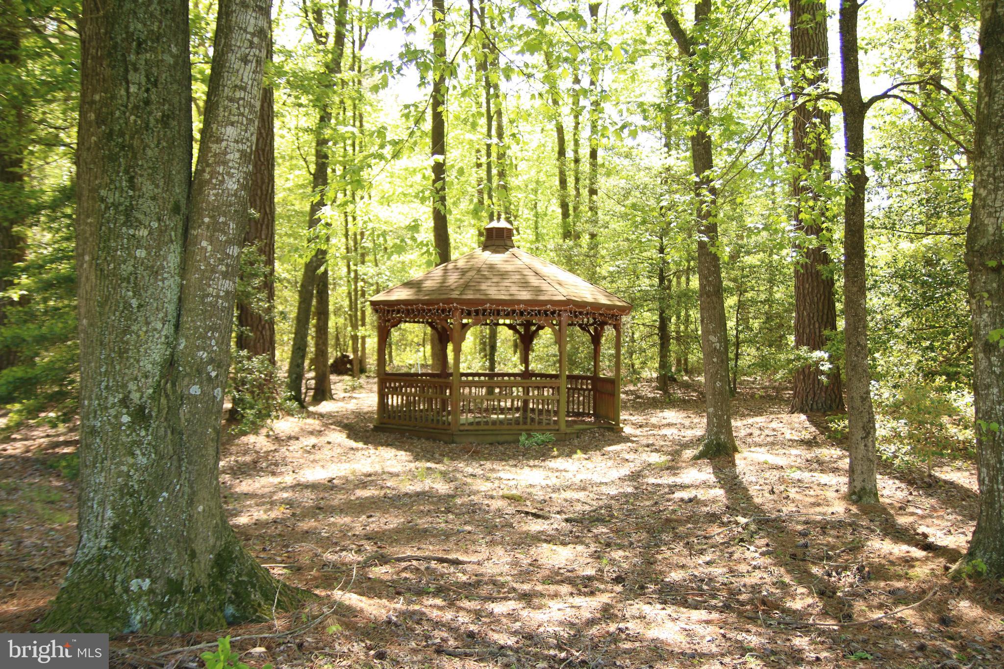3540 Sheephouse Road Pocomoke City, MD 21851 - Photo 6 of 43 Gazebo 2