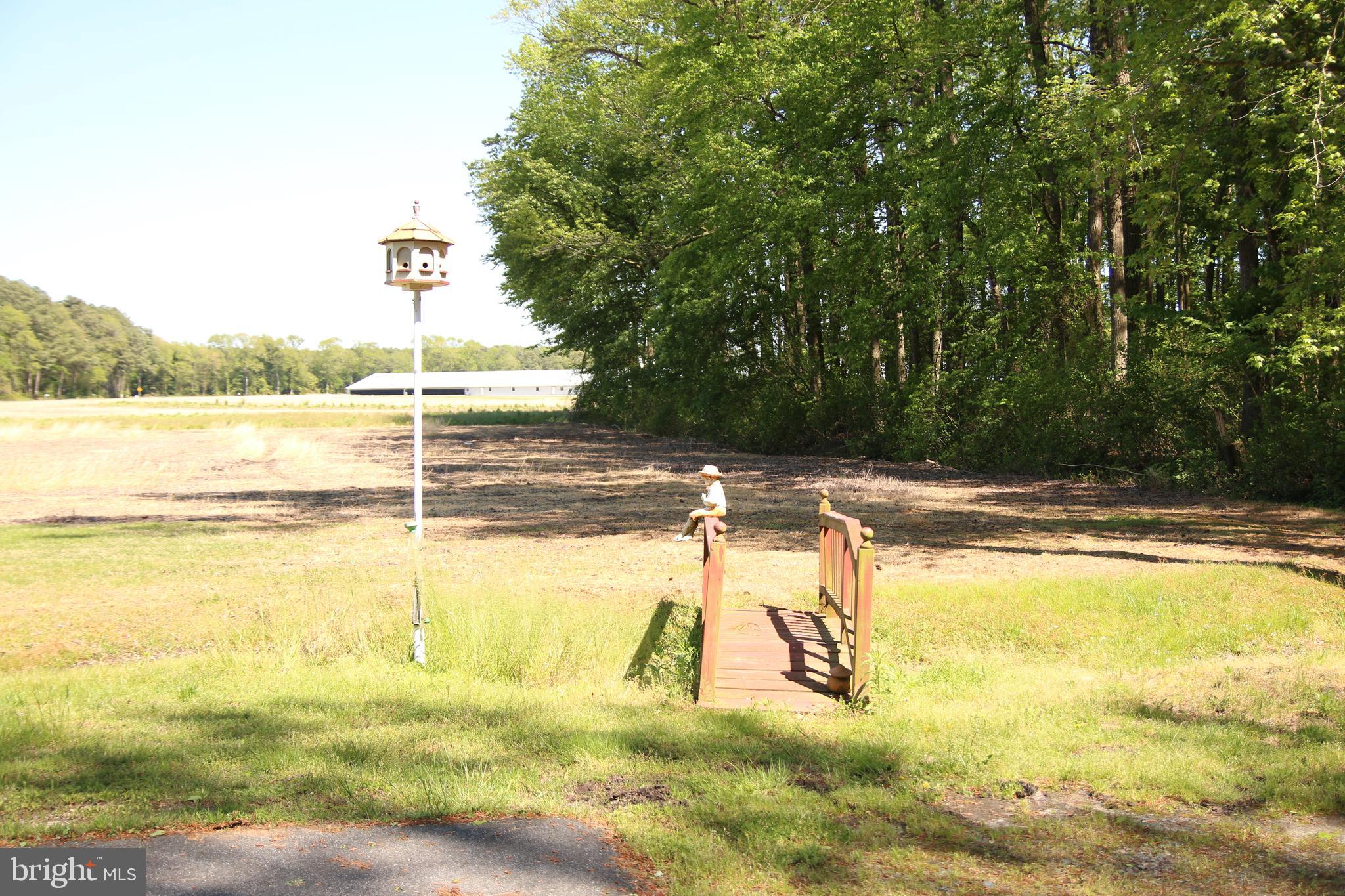 3540 Sheephouse Road Pocomoke City, MD 21851 - Photo 7 of 43 Bridge