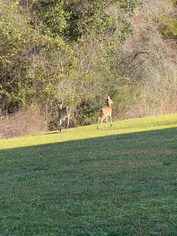 $175,000 | 731 Majestic Drive, Crestview, FL 32536