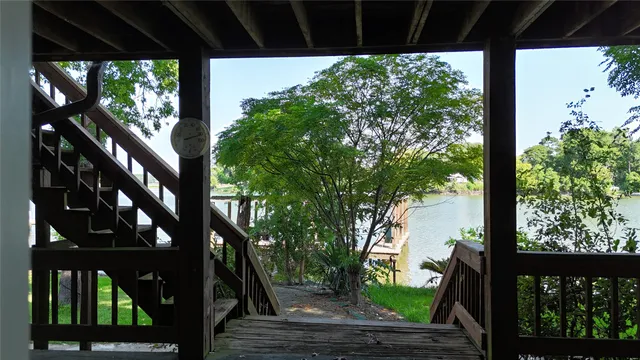 a view of a yard from a tree