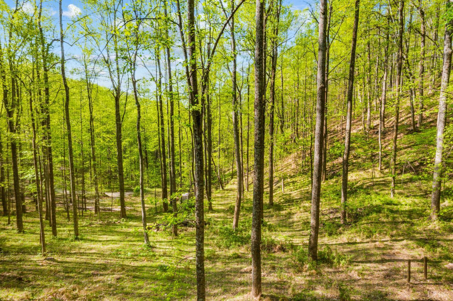 3882 Rocky Mountain Road Forest, VA 24551 - Photo 40 of 69